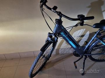 Bici elettrica