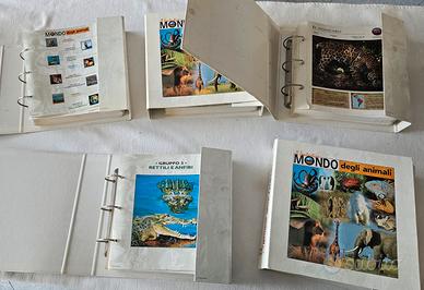 Il mondo degli animali