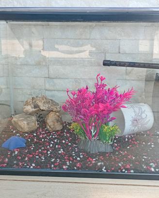 acquario 20L
