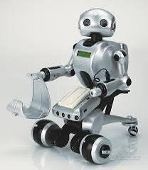 Robot