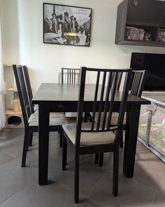 Tavolo Ikea STORNAS + 6 Sedie Ikea BORJE