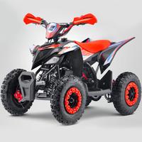 Mini Quad Sanchez PRO 50cc - Ruota 6''