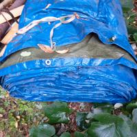 telo copri tutto 12x8 metri 