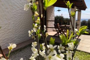 Marina di Camerota per la tua vacanza