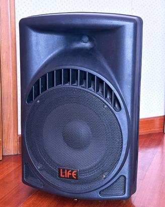 CASSA ACUSTICA AMPLIFICATA 2 VIE