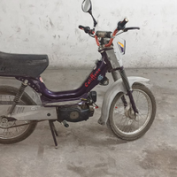 Motorino 50