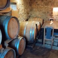 Botti in legno barrique tonneau