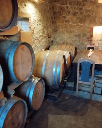 Botti in legno barrique tonneau