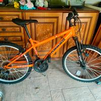 bicicletta mai usata