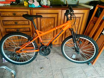 bicicletta mai usata