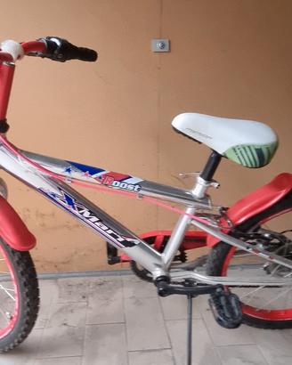Bicicletta bimbo 