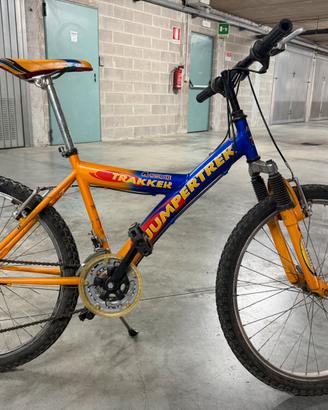 Mtb 24”