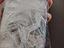 Immagine 6
