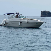 Rinker fiesta vee 300