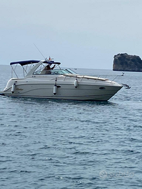 Rinker fiesta vee 300