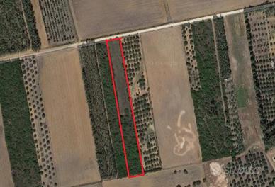 Terreno in agro di san gavino