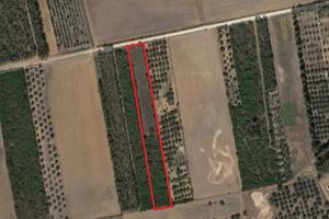 Terreno in agro di san gavino