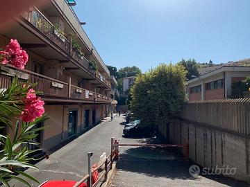 Box a Frascati con bagno riservato (64 m²)