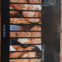 Calendario playboy 2004 del 50esimo anniversario