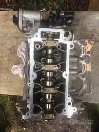 Testata panda hibrida