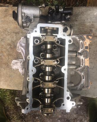 Testata panda hibrida