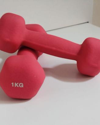 Manubri 1 kg