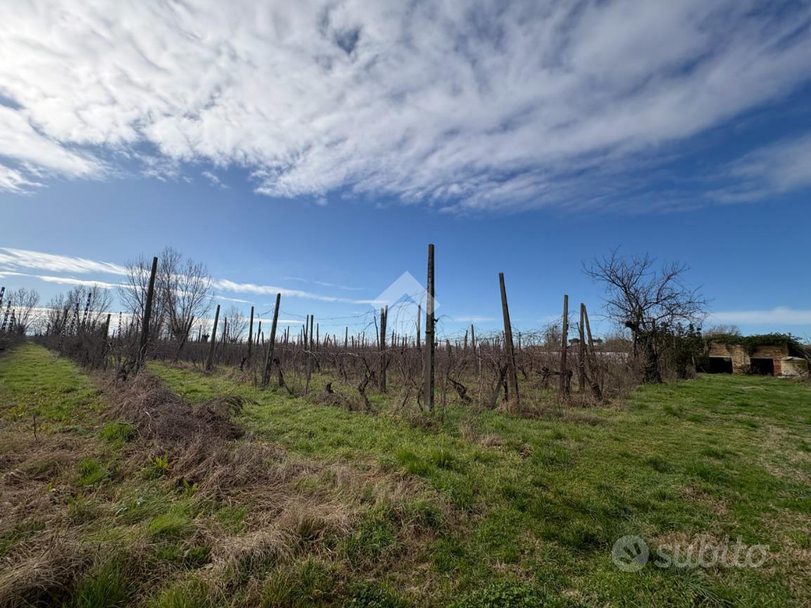 TER. AGRICOLO A RAVENNA - Altro