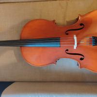 Violoncello da studio