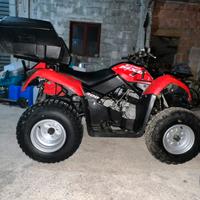 Quad kymco mux 300
