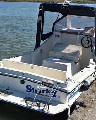 Gabbianella Cabin + VM 110hp
