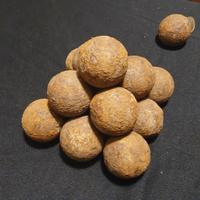 proiettili di cannone