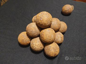 proiettili di cannone