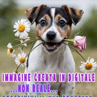 Realizzo immagini e grafiche fantasiose