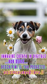 Realizzo immagini e grafiche fantasiose