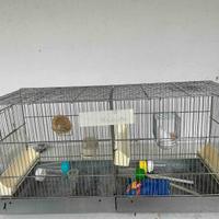 Gabbia per uccelli con accessori