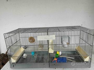 Gabbia per uccelli con accessori