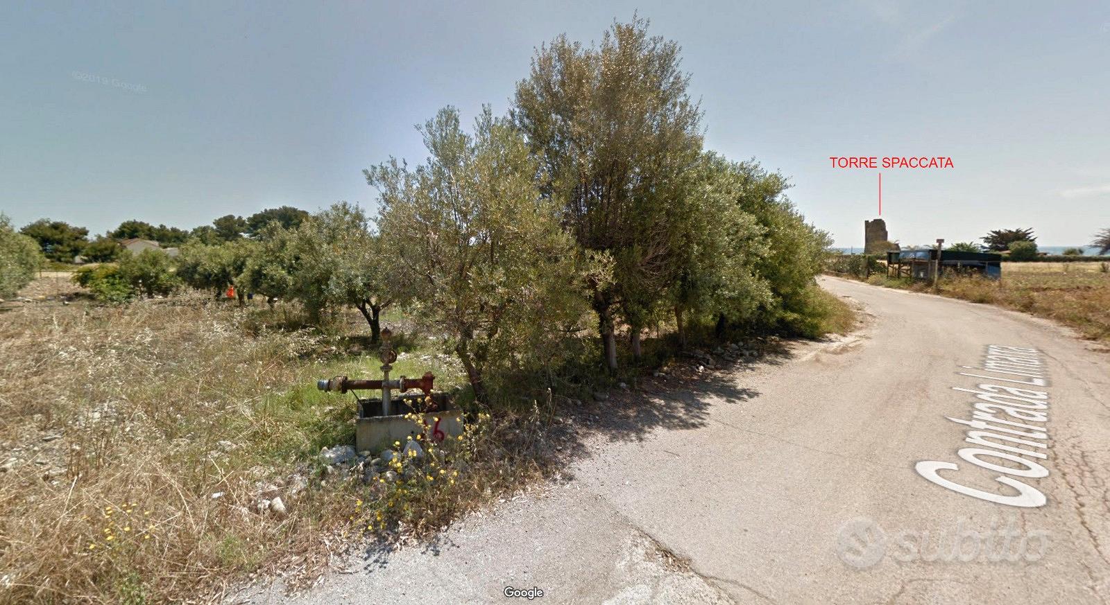 Terreno costa mare Ionio Calabria Amendolara - Vista 4
