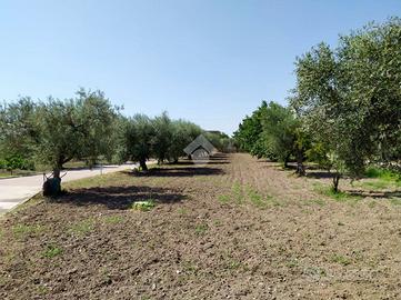 VILLA SINGOLA A FOGGIA