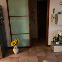 PORTE IN LEGNO CILIEGIO E VETRO  VERDE  ACQUA