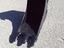 Immagine 8