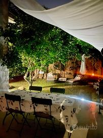Il giardino del cedro