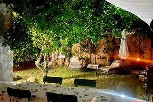 Il giardino del cedro