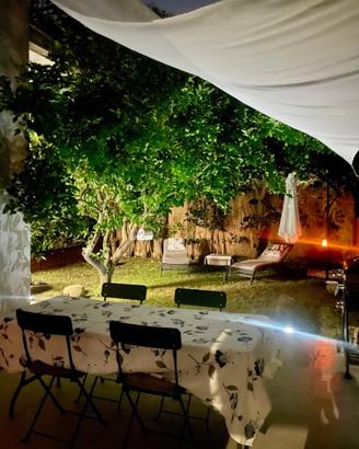 Il giardino del cedro