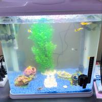  acquario 60/65 litri  leggere descrizione 