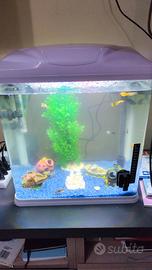  acquario 60/65 litri  leggere descrizione 