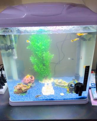  acquario 60/65 litri  leggere descrizione 