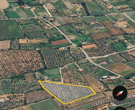 Terreno agricolo con ricovero attrezzi ad Orosei
