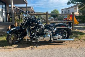 Heritage springer Classic