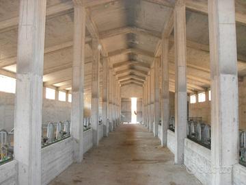 RGE 18/2009 Trib ENNA (EX NICOSIA)