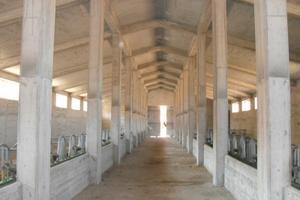 RGE 18/2009 Trib ENNA (EX NICOSIA)